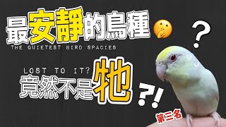 【屈原之天下鳥事】最安靜的鳥種，太平洋只能排第三，竟然輸給牠?!The quietest bird species,the Pacific only ranks third,Lost to it? !