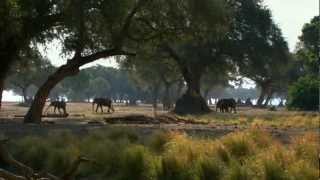 Natural World BBC HD 720p