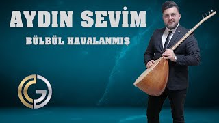 Aydın Sevim - Bülbül Havalanmış  Resimi