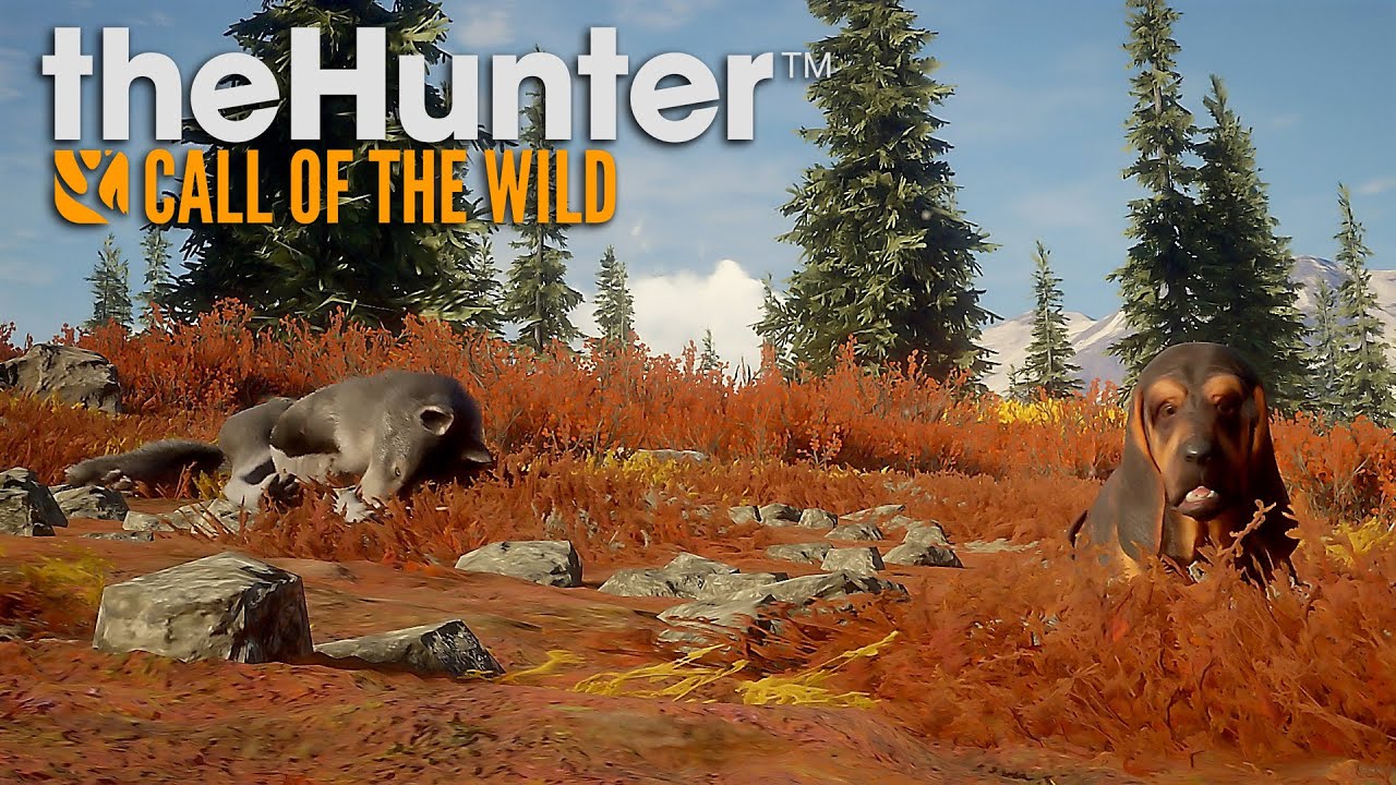 The Hunter Call Of The Wild Yukon Valley Hotspots Gray Wolf Spot Location | theHunter: Call of the Wild | Yukon Valley