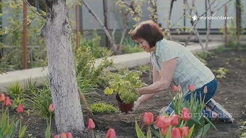 ury Your Scraps… Not Your Time – This Method Beats Surface Composting Every Day