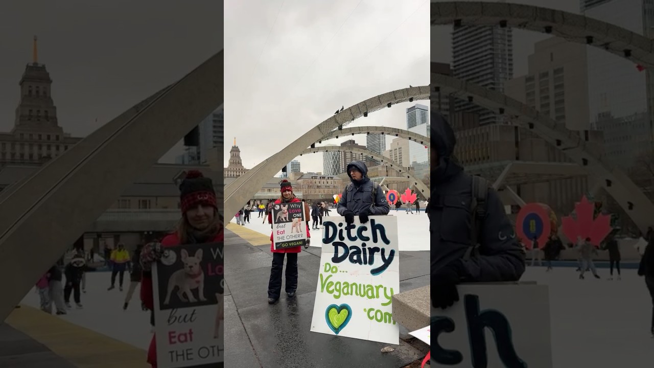 WE’VE BEEN LIED TO (AGAIN)