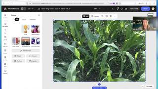 Resize Images For Your Website Using Adobe Express