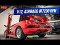 LENDÁRIA Lamborghini DIABLO V12 ACELERANDO até o LIMITE no dino e nos DETALHES - AvantGarde