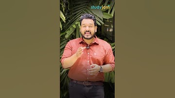 🚀 Bring Your EdTech Vision to Life with StudyJam | Best E Learning Platform (LMS)