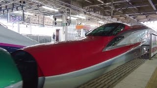 東北新幹線 E6系 320km/hこまち22号 盛岡駅～仙台駅 車窓 View from Shinkansen