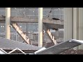 Oklahoma City implodes Jim Norick Arena ending 60-year era