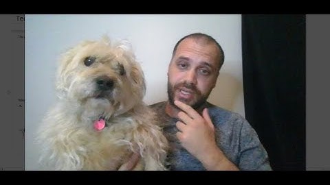 Guessing the QLD Methods External Exam: Part 3