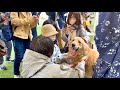 土砂降りのモフ会が神回だった件w