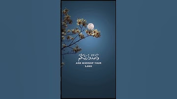 سورة الحج - الآية 77