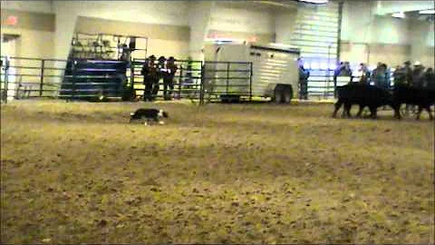 Cattlemen's Classic Demos - Ricky