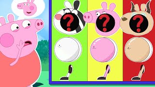 BREWING BABY CUTE PREGNANT!? - Who is Peppa 's Wife? | Peppa Pig Funny Animation