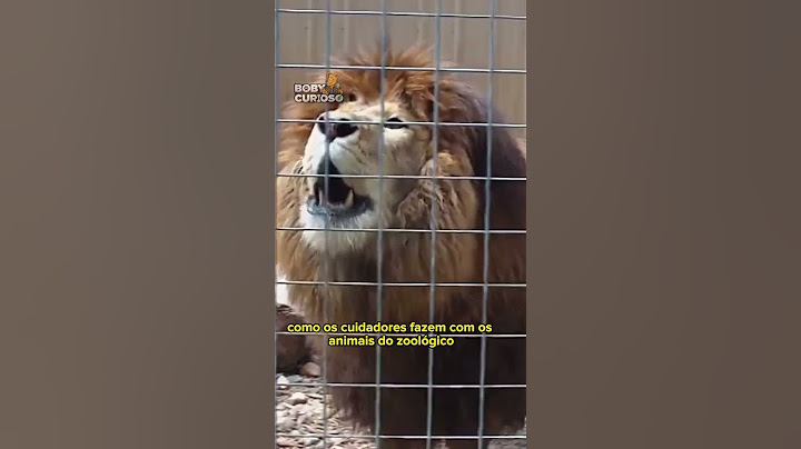 Esse animal é PROIBIDO em todos os Zoológicos
