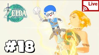 20230628] 18일차, 생존신고, 스토리 진행, 짧방【The Legend of Zelda, Tears of the Kingdom】