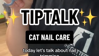 Tip Talk ~ Nail Trimming by The Cattery Cat Shelter 154 views 3 weeks ago 1 minute, 27 seconds