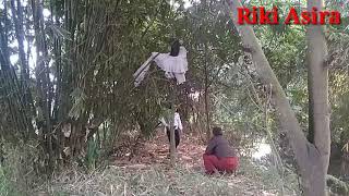 GAK ADA YANG TAU DI PERHATIKAN MAHLUK ORANG BUNIAN