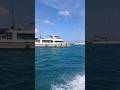 Phuket 2025 #phuket#fish#fishingvideo#fishinglife#baits#bait#lure#lurefishing#rode#thailand#boating