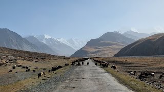 Hitchhiking the Pamir Higway Kyrgyzstan to Tajikistan adventure - Menno Ros #24