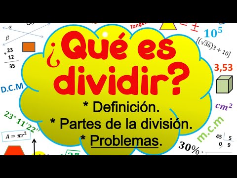 ¿Qué Es La División En El Empleo Anterior?