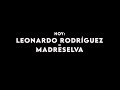 Leandro Rodríguez - Madreselva - Editorxs Tomando Vermú a Pie