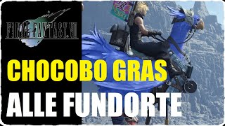 FF7 Rebirth Chocobo Gras finden ALLE 50 FUNDORTE Geheimnis der Chocobo Weisen Quest