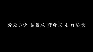 爱是永恒 国语版 张学友 & 许慧欣 (歌词版)