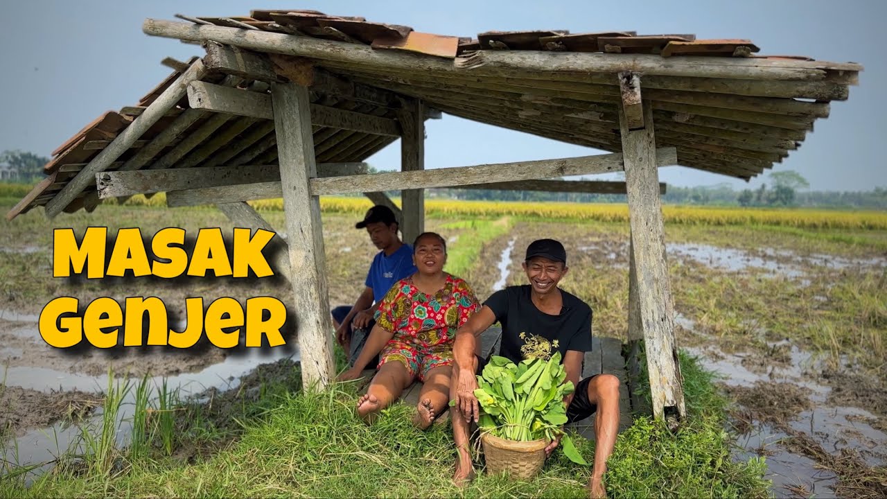 MENCARI GENJER DI SAWAH BERSAMA PAK B dan lek sudir