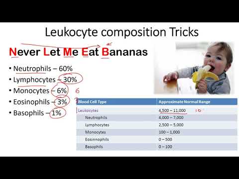 Leukocyte composition tricks to remember