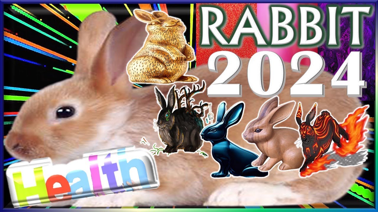 Rabbit Horoscope 2024 Health Born 2023, 2011, 1999, 1987, 1975