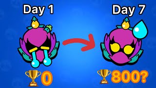 How Many 🏆 Can I Get With Lily In 7 Days!?