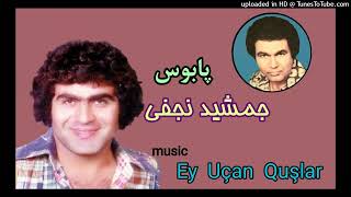 جمشید نجفی پابوس _ jamshid najafi paboos / fars mahnisi ey uçan quşlar musiqisi Resimi