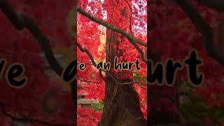 Paloma faith - only love can hurt like this (Lyrics) Shorts #lyrics #tiktok #musicplatform #trending