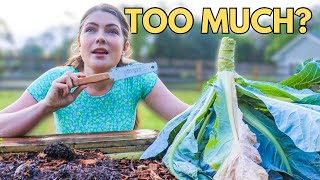 Garden VLOG I I’m overwhelmed, I’m not giving up I Filling raised garden beds l Seed Sowing #garden by Homesteading with Shelby 2,705 views 2 months ago 21 minutes