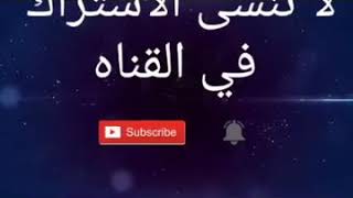 مهرجان كازاميزا ف التوكتوك هيفاء وهبي2019