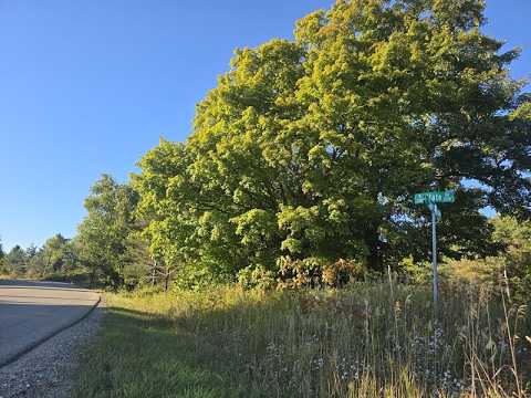 4936 Johnston Hill Road, Harbor Springs, MI home video tour