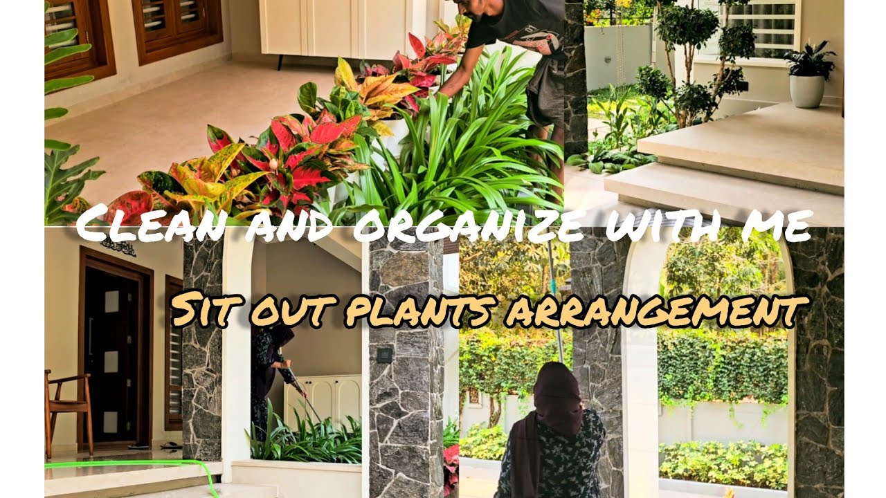 Clean and organize with me /#plantcare #cleaningtips  #indoorplants 