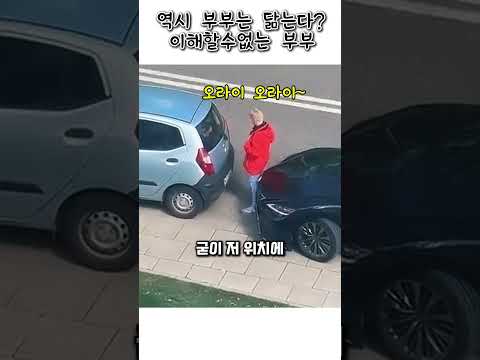 이해할수없는 부부의 행동 thumbnail