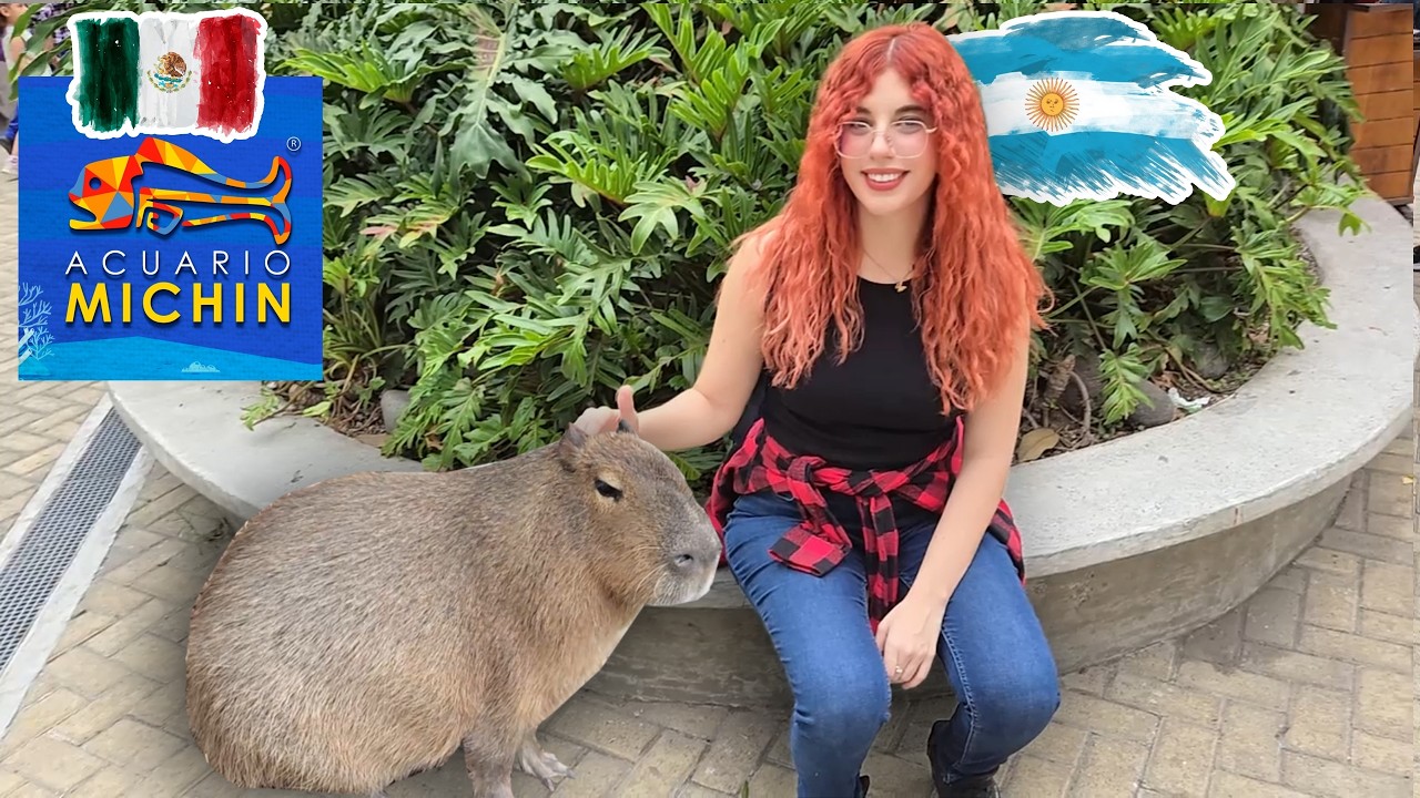 Cumplo el sueño de mí novia argentina en México | Acuario MICHIN 🐠 CDMX ...