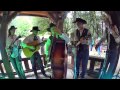 Corral creek bluegrass