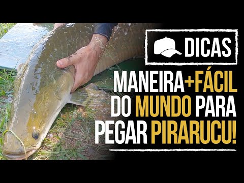 A MANEIRA MAIS FÁCIL DO MUNDO DE PESCAR PIRARUCU (DICA)