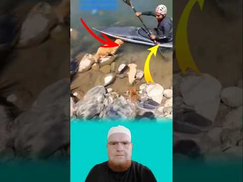 الرحمة خ ل ق لا تحتاج لقب أو مال تحتاج قلب يعرف معنى الإنسانية لايك اكسبلور 