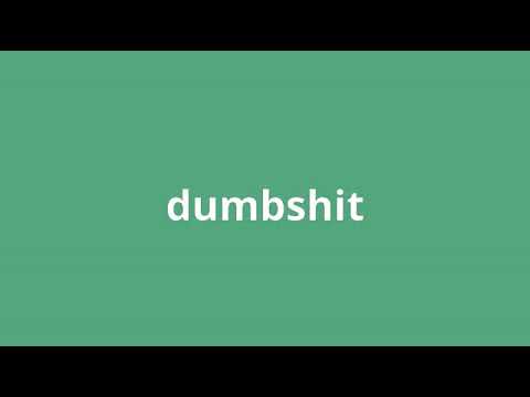 what is the meaning of dumbshit