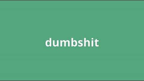 what is the meaning of dumbshit