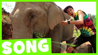 Elephant Dance Song | Maple Leaf Learning Resimi