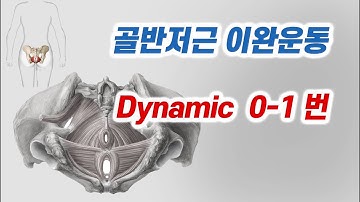 다이나믹 0-1번 브릿지 / 골반저근 골반교정 고관절통증 있을 때 해보세요 Dynamic 0-1th Pelvic Floor Muscles activation