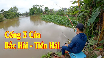 Câu Cá Diếc, Cá Dưng Tự Nhiên | Câu Đài Sông Tự Nhiên | Điểm Câu Cống 3 Cửa - Bắc Hải - 17B8