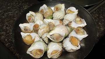 Cách sơ chế - làm sạch Ốc Bulot