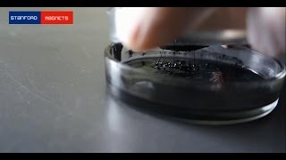 How to Make Ferro Fluid at Home - Stanford Magnets