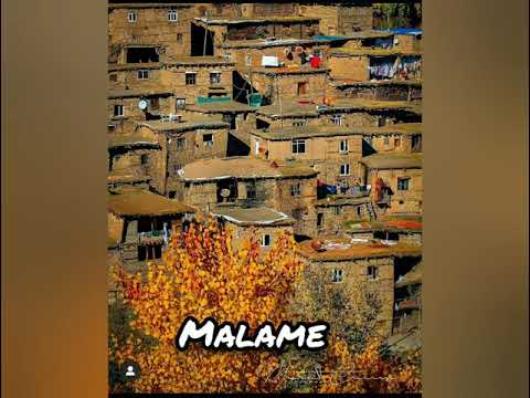 Malame rex mala weye - Berwari (New - Yeni)