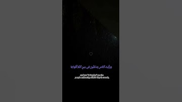 #محبي القرآن الكريم #اكتب شي تؤجر عليه❤️ #ارح قلبك 🫀 #سورة النصر #ماهر المعيقلي